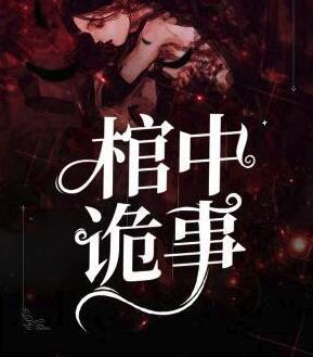 夫人路线全集免费阅读全文封面